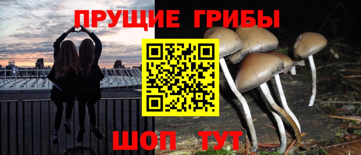 Кириши  Псилоцибиновые грибы MAGIC MUSHROOMS  Вход с VPN 